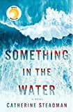 Something in the water : a novel  Cover Image