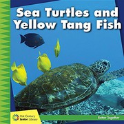 Sea turtles and Yellow Tang fish  Cover Image