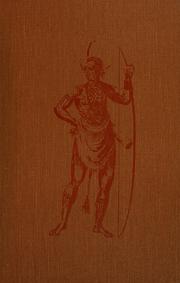 The wild shores : America's beginnings  Cover Image