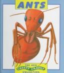 Ants  Cover Image