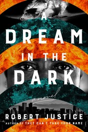 A dream in the dark : a novel Book cover