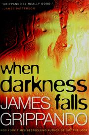 When darkness falls  Cover Image